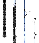 KastKing Kapstan Saltwater Spinning Rod, Boat & Surf Fishing Rod, Lightweight S-Curve Graphite Bl...