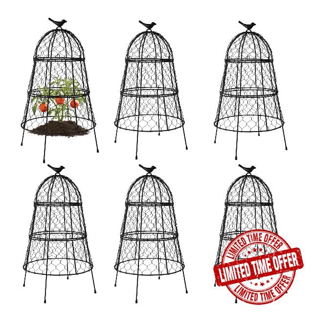 Pack of 6 Heavy-Duty Chicken Wire Plant Cloches – Rustproof Garden Protectors and Plant Cages for Vegetables and Flowers – Safeguard Plants from Deer and Critters – 20” x 12”