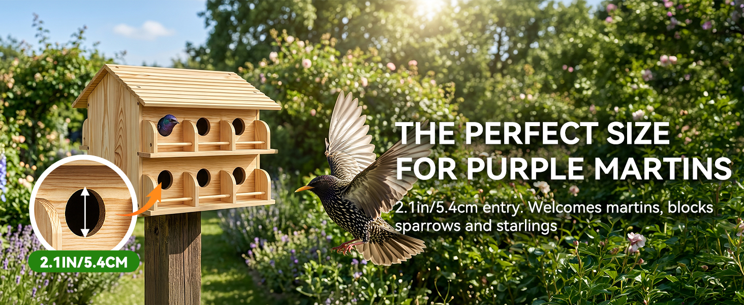 purple martin house
