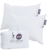 Lincove Cloud Natural Canadian White Down Luxury Sleeping Pillow - 625 Fill Power, 500 Thread Cou...