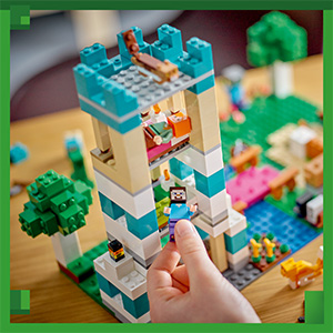 21249_Minecraft