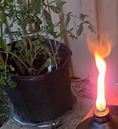 garden torches