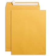 500 No. 9 Flip and Seal Double Window Security Envelopes - Designed for Quickbooks Invoices and B...