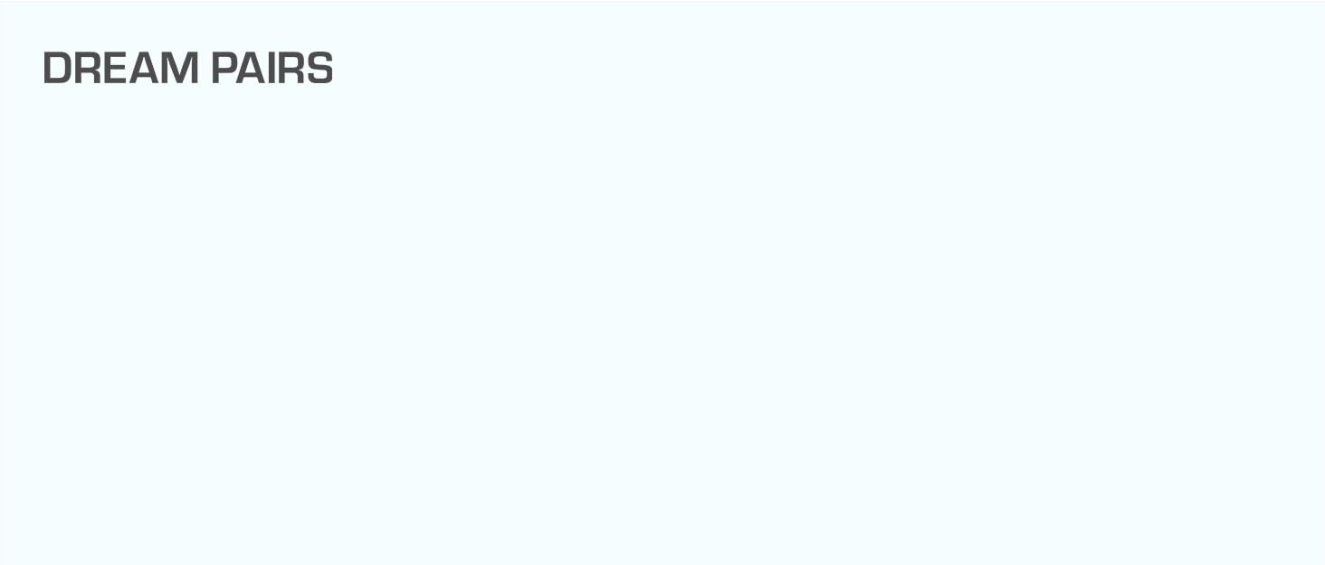 Light blue background with black text reading 'DREAM PAIRS' at the top.