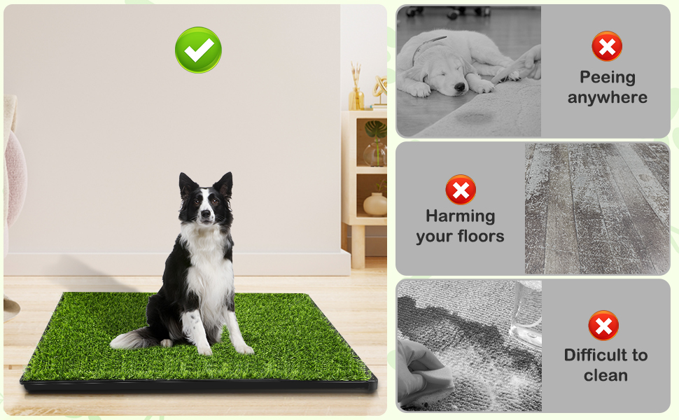 indoor dog potty