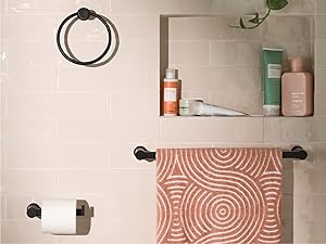 Moen eBidets and eToilets