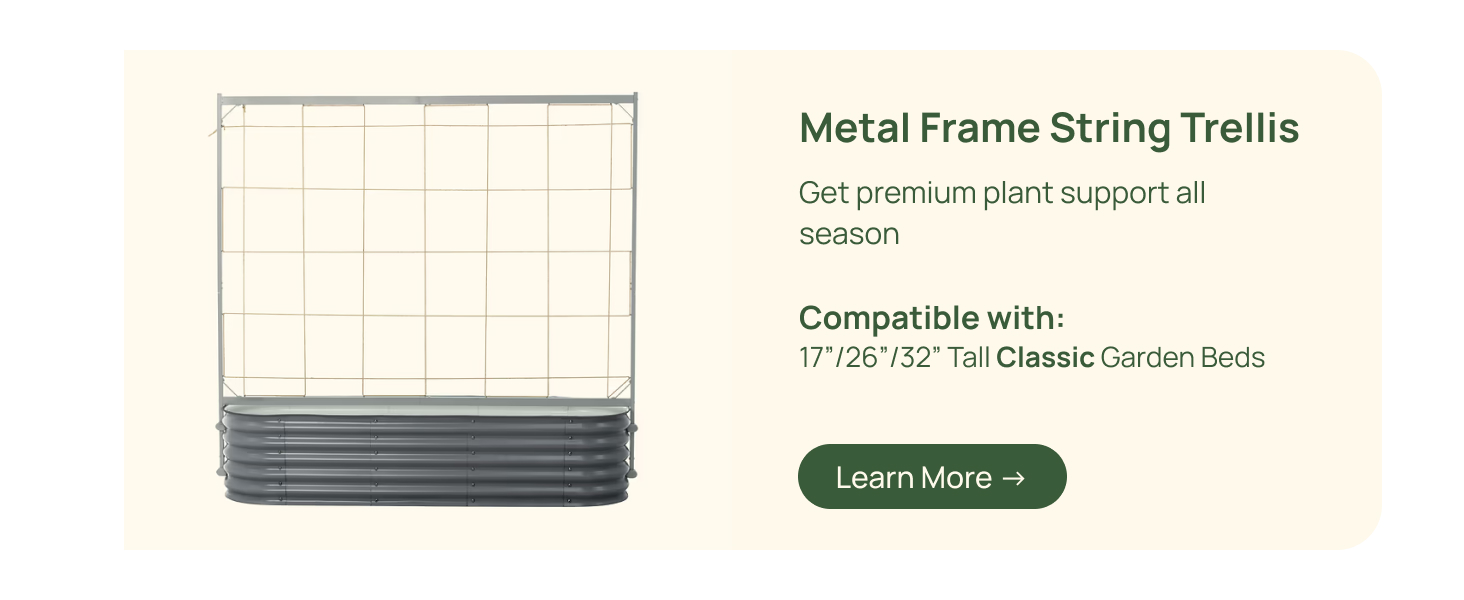 String Trellis