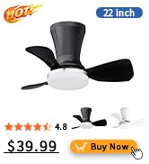 22 Inch Flush Mount Ceiling Fan with Light and Remote, Low Profile Modern Ceiling Fan, 6 S...
