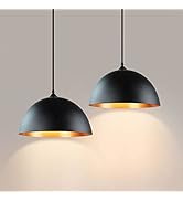 DLLT Vintage Globe Pendant Hanging Light, Matte Black, 1-Light, E26 Base, Ideal for Dining Room, ...