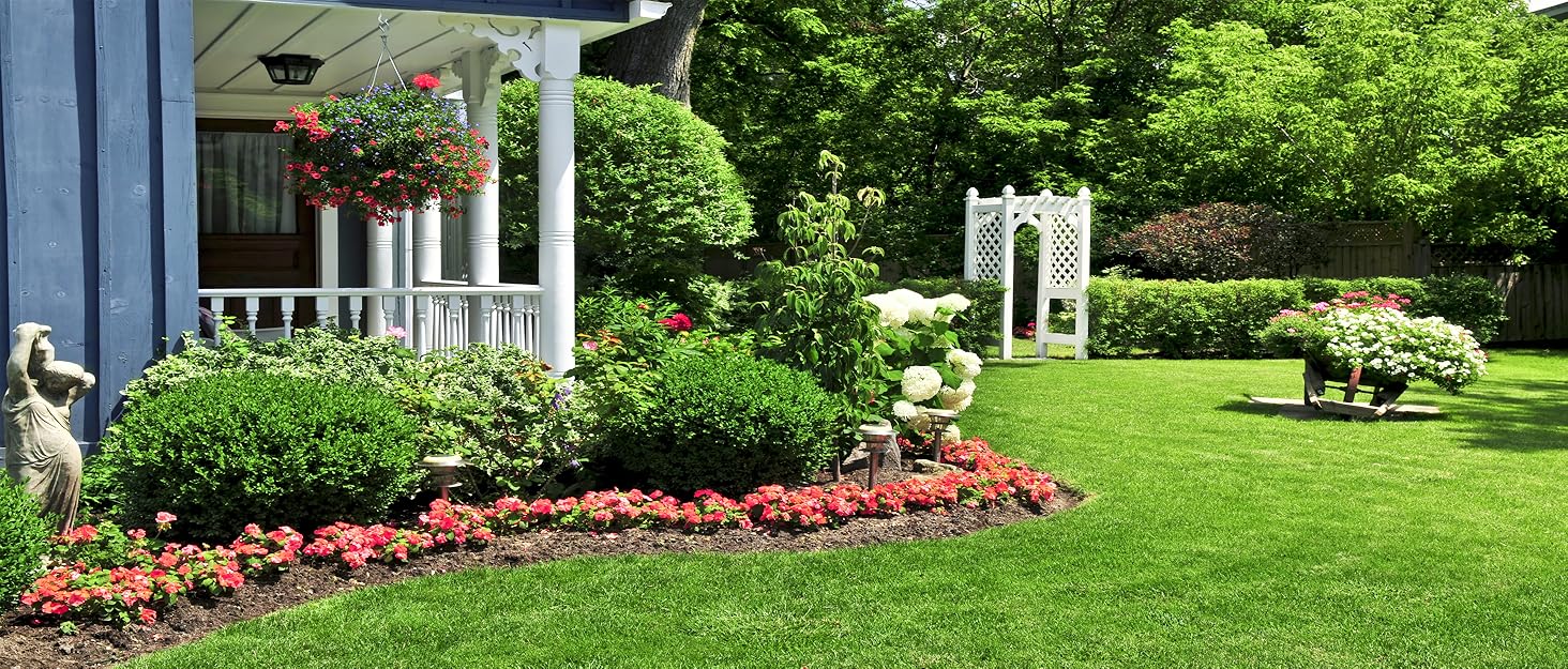 garden fence