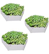 A ANLEOLIFE 3 Pcs 12X3X1.5 ft Oval Extra Large Galvanized Raised Garden Beds Outdoor for Planting...