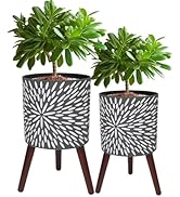 10 & 12 Inches Plant Pot with Stand, Large Modern Standing Planters for Indoor Outdoor Plants wit...