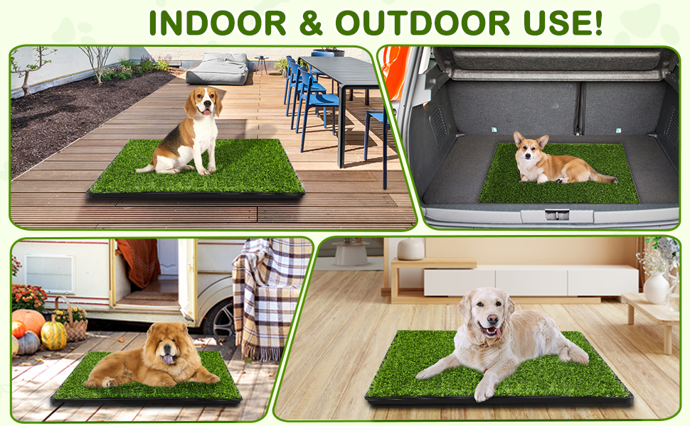 puppy pee pads