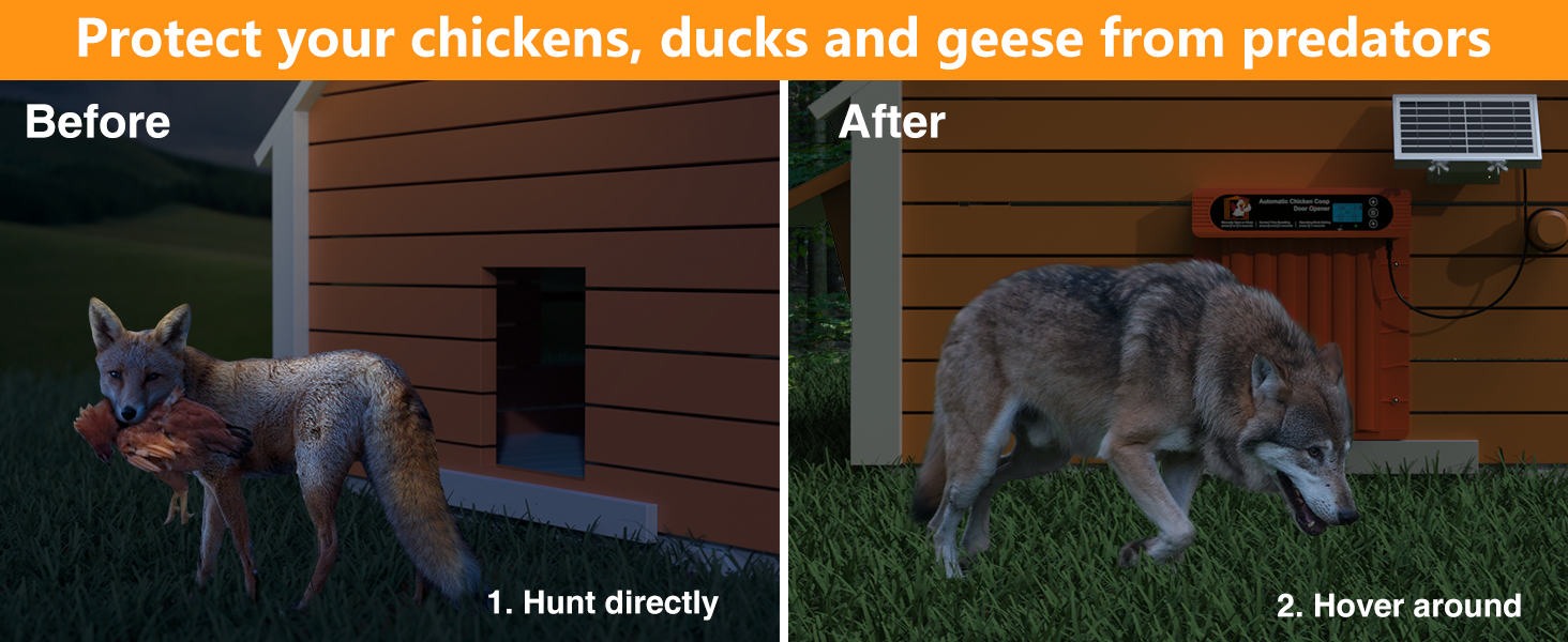 battery powered chicken coop door