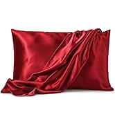 Pure Bedding Satin Pillowcase 2 Pack - Queen Size (20