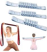 Resistance Bands Set with Numbers, 8/10/12 Loop Stretch Strap 3-Pack, Adjustable Exercise Bands f...