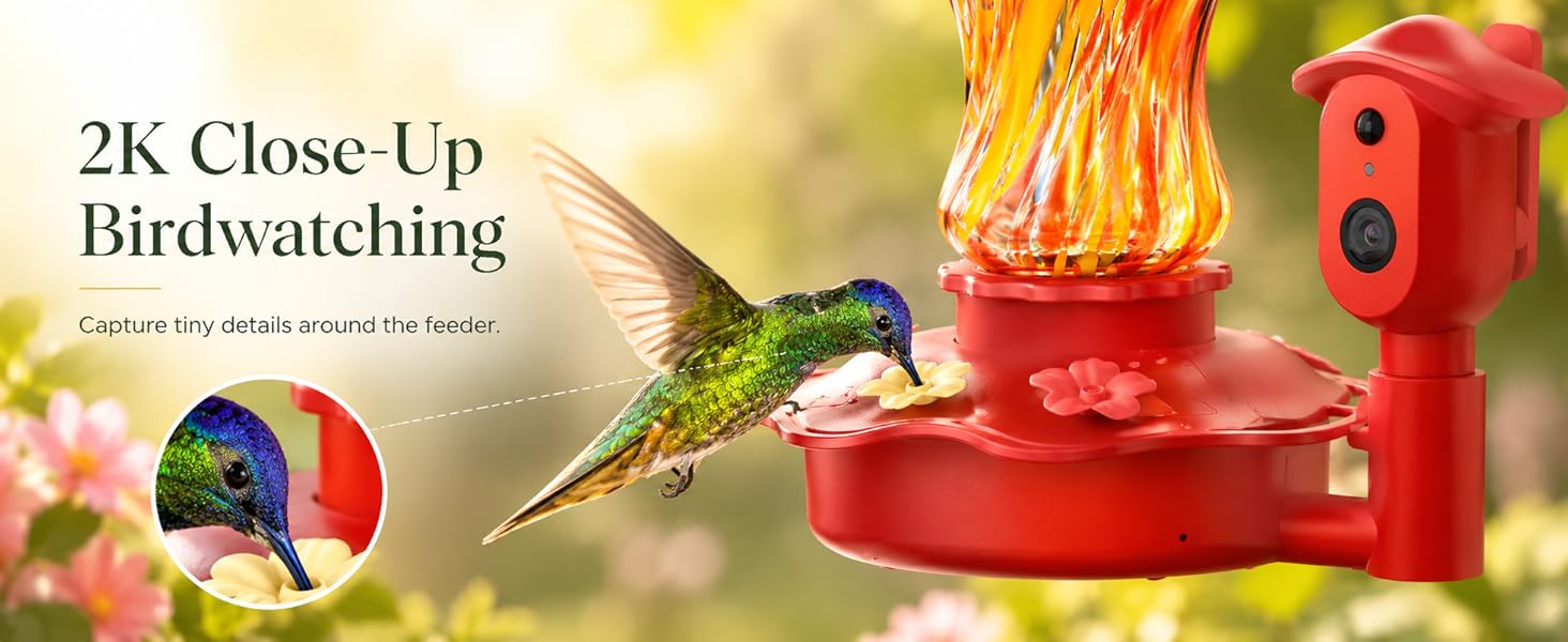Smart Glass Hummingbird Feeder with Camera