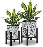 Planter with Stand Set of 2, Modern Plant Pots with Metal Legs Indoor,Flower Pots with Drainage H...