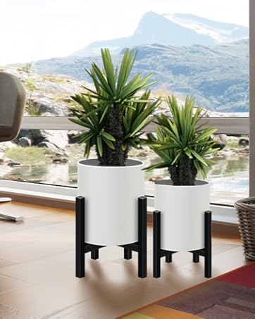 pot stand for plants indoor