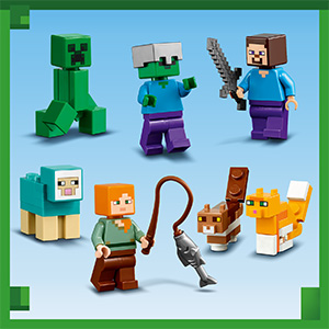 21249_Minecraft