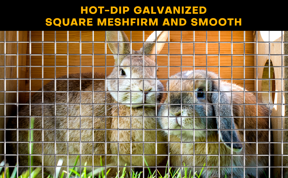 Chicken Coop Wire Fencing