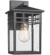 Diyel Outdoor Wall Sconce Lights, 20 Inch Tall Transitional Exterior Wall Lighting with Clear Gla...