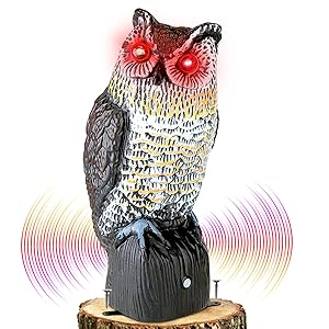 bird decoy