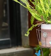 Display Gazing Globe Stand Holder