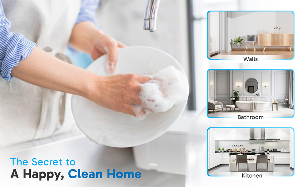 multisurface cleaner