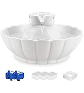 iPettie Ceramic Cat Water Fountain, 3.5L/118oz Cordless Pet Water Dispenser with 3 Water Modes, U...