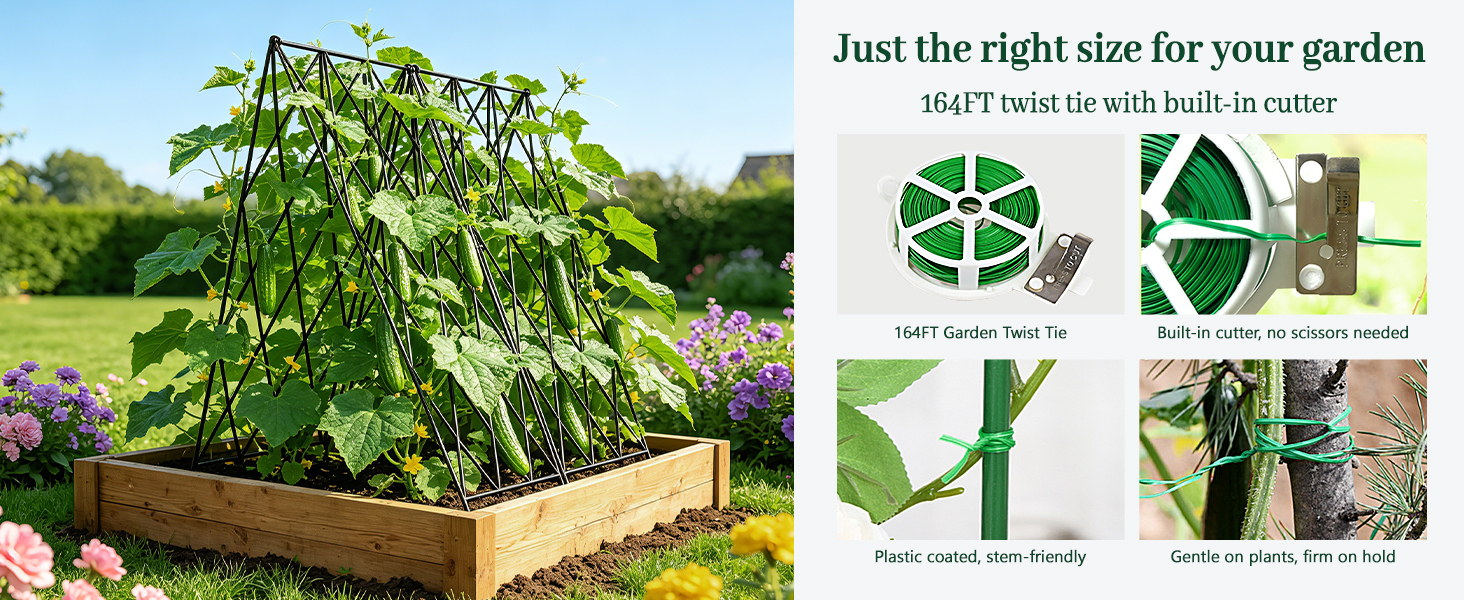 Cucumber Trellis