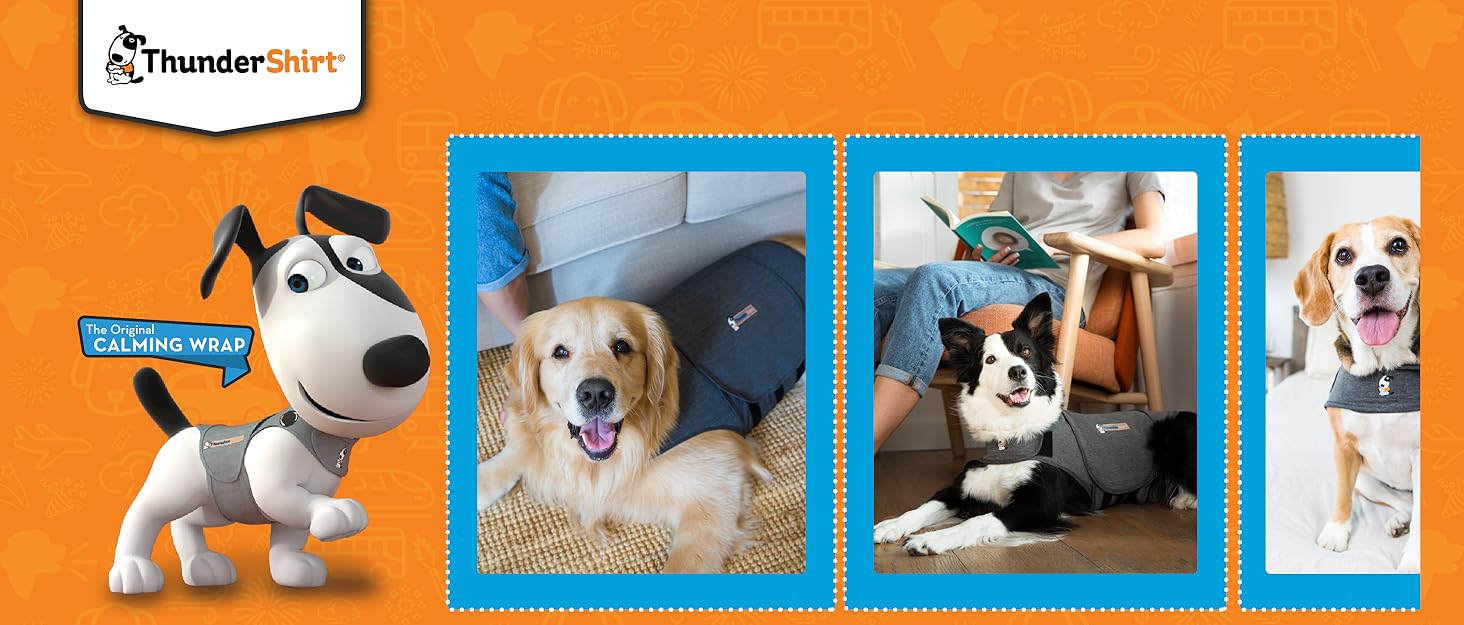 ThunderShirt logo on an orange background with a CGI dog