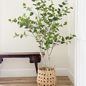 plant by fireplace