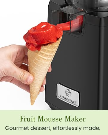 Cold Press Juicer
