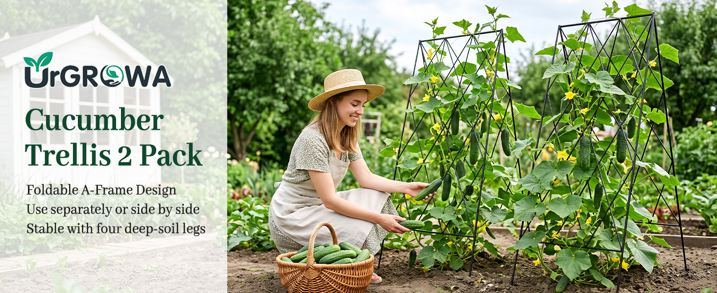 Cucumber Trellis