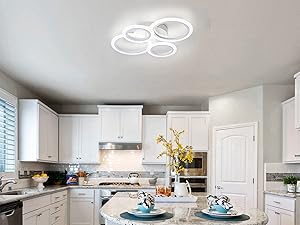 led ceiling light fixture