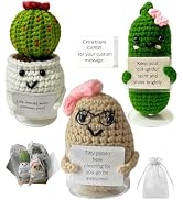 Crochet Positive Potato Emotional Support Pickle Succulent - Coworker Employee Gifts Get Well Gif...