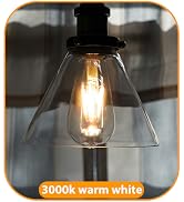 winsaLED LED Light Bulbs 40 Watt Equivalent, 2700K Soft Warm Light Bulbs, 4W LED ST19 Edison Bulb...