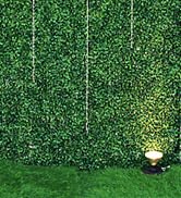 Luyue 12 pcs Artificial Grass Wall Panels 20"×20" Boxwood Panels Fake Grass Privacy Fence Screen ...