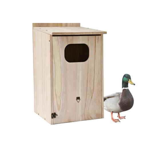 Sturdy Weather-Resistant Nesting Box and Shelter for Ducks