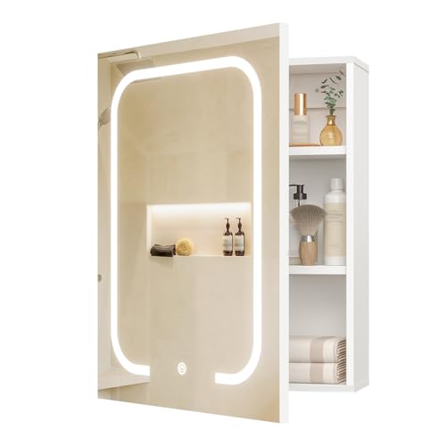 LED Bathroom Vanity Mirror with Storage