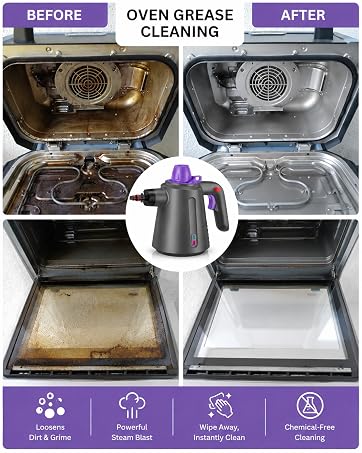 steam cleaner