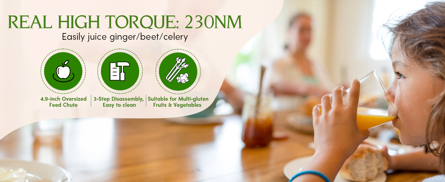 cold press juicer