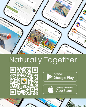Coolfly App