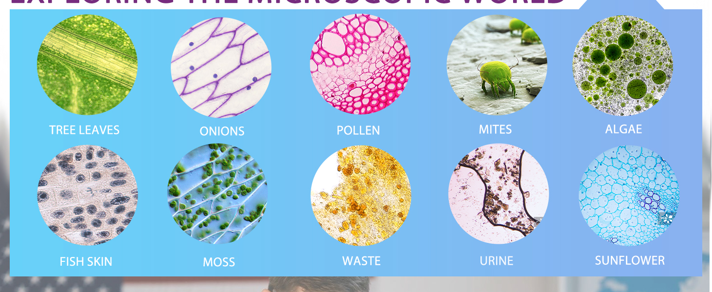 microscopes