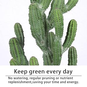 artificial cactus