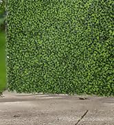 Luyue 12pcs Artificial Grass Wall Panels Greenery Backdrop 20”×20” Green Leaves Hedge Panel Green...