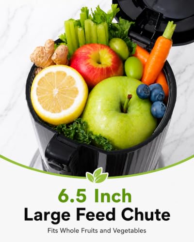 Slow Masticating Juicer Machine for Juice