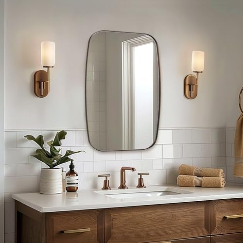 20x28 Oblong Mirror with Stainless Steel Metal Frame
