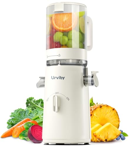 2-in-1 Cold Press Juicer for Juice & Sorbet